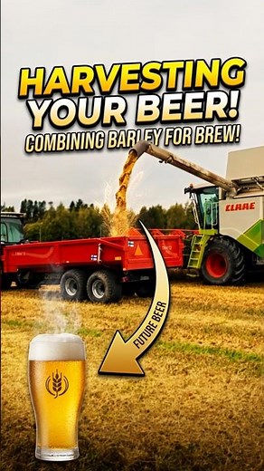 🍺 Harvest 2026 | Brewing the Next Batch! 🌾 Combine Harvesting Barley #Beer #Malt #combineharvester
