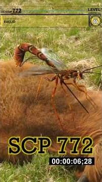 SCP 772 en Resumen - "Avispas Gigantes Parasitarias"