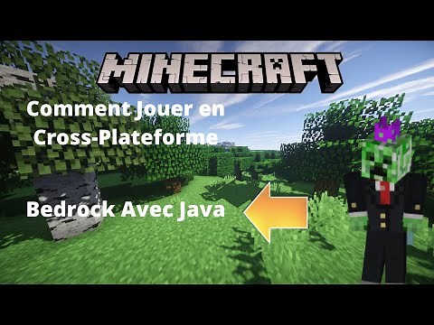 COMMENT JOUER BEDROCK AVEC DES JOUEURS JAVA (Cross Plateform)