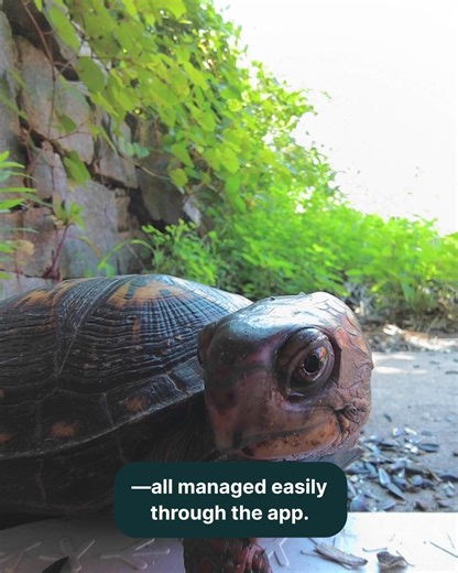 Bird lover’s dream come true! 🐥 Bird Buddy lets you enjoy every bird up close. 📲 Get instant notifications when a bird visits 🔍 Easily identify over 1000 species 📸 Create a personal collection of photos & videos Discover Bird Buddy today ➡️ https://mybirdbuddy.com/ | Birdbuddy