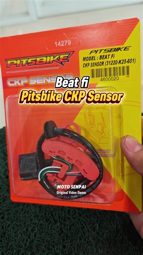 Beat fi Pitsbike CKP Sensor Overview