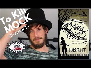 To Kill a Mockingbird Chapter 14 Summary