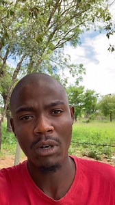 Atishe utoba grand…!!❤️🤭🌿 | Sabzin Ex Marero