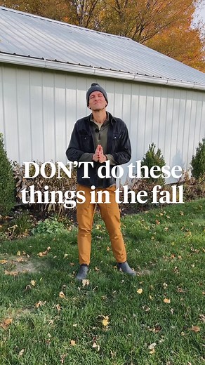 There are three things that I don’t do in the fall when it comes to the garden!