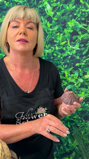 Still time to join our Christmas Online Flower Program - comment below for the link | Kays Flower School