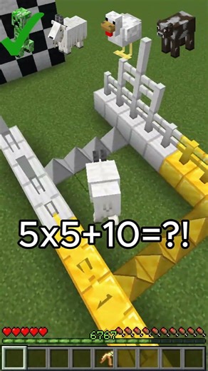 PLS DON'T CHECK THE SOUND!!💀💀 #minecraft #virlshorts #gaming