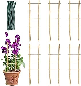 6 Pack Natural Bamboo Trellis for Climbing Plants, 17 Inch with 50 Cable Ties, Mininfa Garden Ladder Trellis, Fan -Shaped Plant Support Trellis for Potted Plants Indoor Plants Hoya Vine Ivy