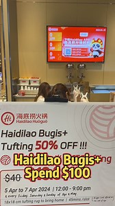 21K views · 48 reactions |  Haidilao x Rug Tufting: Craft your own unique rug while dining at Haidilao Bugis+! Spend a minimum of $100 to unlock a DIY rug-making session for just S$19.80. Professional guidance and 30+ patterns provided. Limited availability, book early!  Every Fri-Sun in April, 12-9pm. | Haidilao Singapore | Facebook