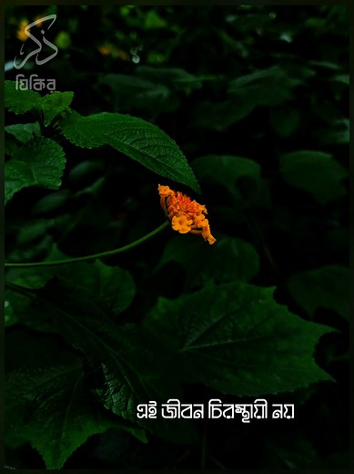 পরকালের জন্যে তো কিছুই করলাম না | যিকির - ذكر