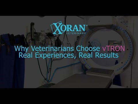 vTRON - Real Experiences, Real Results