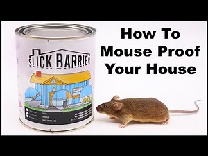 Prevent Mice, Rats and Scorpions From Getting Into Your House with Slick Barrier. Mousetrap Monday