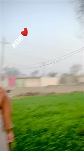 Reactivating Your ROR Account—Step-by-Step Guide