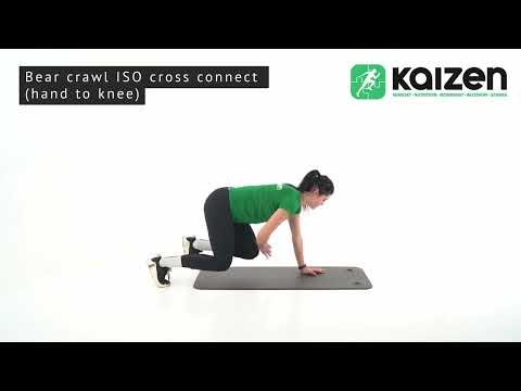 Bear crawl ISO cross connect (hand to knee)