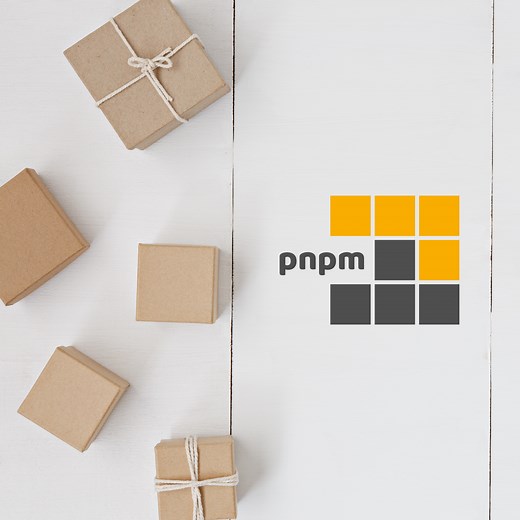 pnpm patch  | pnpm
