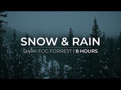 Dark Fog Forrest | 8 Hours of Snow & Rain Fall for Relaxation & Meditation