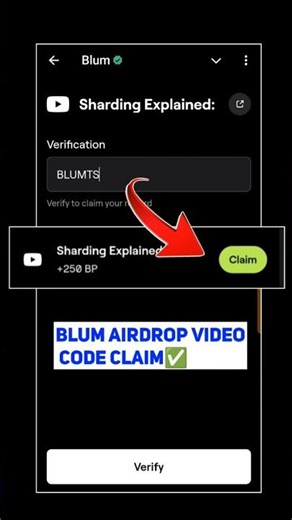 Sharding Explained: Blum Video Code Blum New Video Code | Blum Listing Date | Token Burning Claim ✅