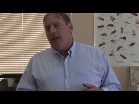 Pest Control : Killing Squirrels Humanely