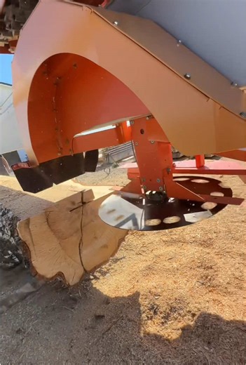 Slicing Birch Wood with Turbosawmill Techniques