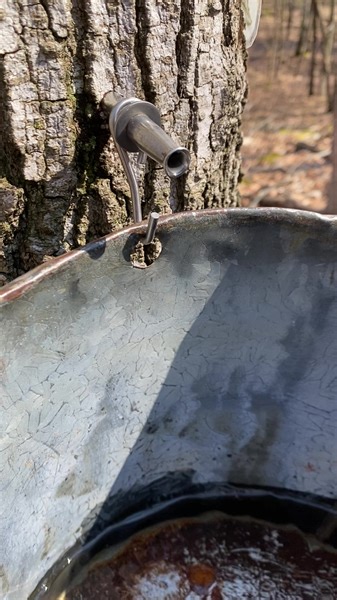 1.1K views · 35 reactions | Have you ever wondered, “could I tap my...