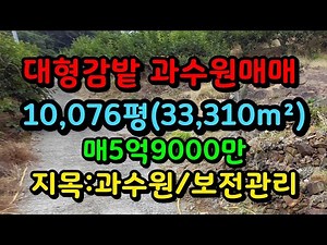 가성비좋은 초대형 단감밭 과수원매매 10,076평(33,310m²) #과수원 #태양광