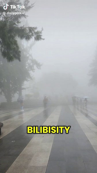 Zero Visibility Meme: Why It's So Relatable
