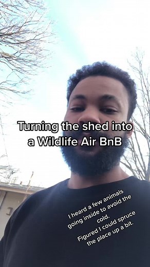 I wanna be a Disney Princess #animals #stl #midwest #shed #homeliving #lifestyle #fun #critters #birdfeeders #birdfeed #rabbits #squirrels #possums #raccoons #animal #screammovie #fyp #fypシ #fypage #fypシ゚viral🖤tiktok #fypシ゚viral