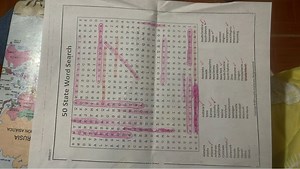 The user has provided an image of a '50 State Word Search' puzz... | Filo