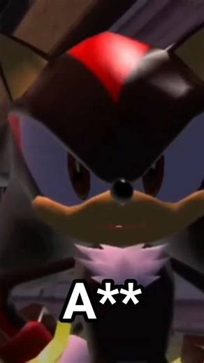 Shadow the Hedgehog had SWEARING!