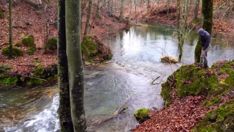 Best winter spring rolls in the forest – light, fresh & irresistible!