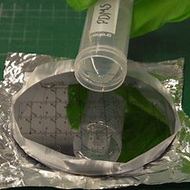 Video: Fabrication and Validation of an Organ-on-chip System with Integrated Electrodes to Directly Quantify Transendothelial Electrical Resistance