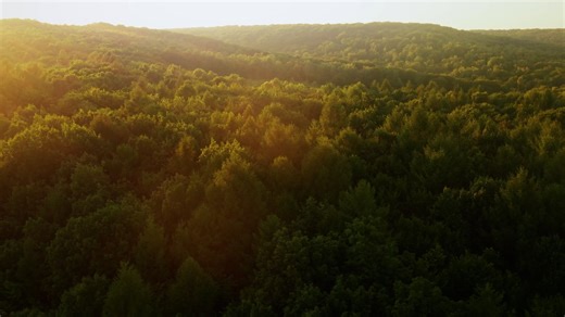 7031220_Nature_Aerial_1920x1080