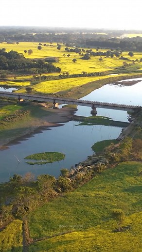 Hello World! Assam's Winter Serenade~the fog embraces the landscape, turning the familiar into a dream. Golden hour rays pierce the mist—pure, untouched magic. ✨ 📍 Assam 🎥©️ Sachin Bharali Awesome Assam Incredible India Ministry of Tourism, Government of India | Northeast Today