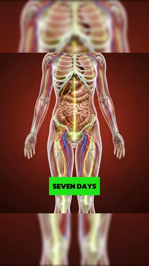 1.7K reactions · 150 shares | Still feeling puffy, dull, or stuck —...