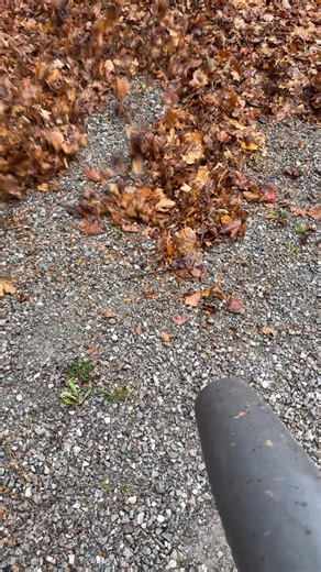 Husqvarna 590BTS blowing wet leaves @husqvarnaca @husqvarnausa #leafblower #husqvarna | Red Rock Maintenance | Facebook