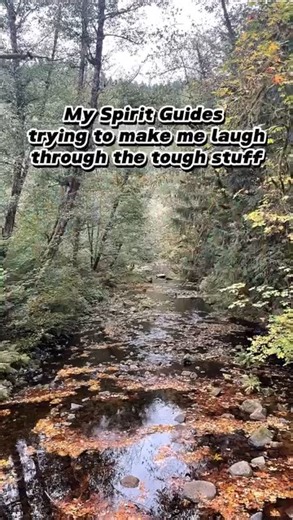 152K views · 3.8K reactions | I might go crazy /reelcred- @heathirbrown #spiritualfunny #funnyspiritualmemes #spiritualmemes #spiritualawakening #spiritualhumor #spiritualmeme #starseeds #funnyspiritual #lightworkers #spiritualjourney #shadowwork #spiritualgrowth #shadowworkmemes #ascensionsymptoms #funnyspirituality #memetherapy #spiritjunkie #funnyspiritualty #newearth #funnymemes #lightworker #starseed #empath #wokeaf #meme | Inner Child Oracle Cards | Facebook