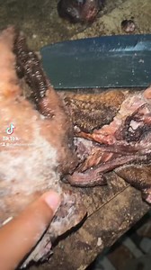 5.7K views · 164 reactions | Les cuisinières est-ce que c’est comme ça on prépare ? Venez m’éclairer svp  | Marie-pascale Brin | Facebook