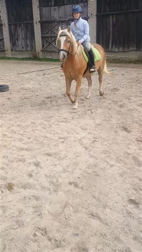 Filmy użytkownika Stajnia Quantana (@stajnia.quantana) z muzyką Stres - Brain Error