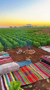 Beautiful Morocco. Are you a nature lover? 🤩🤩😍😍 | Morocco Travel