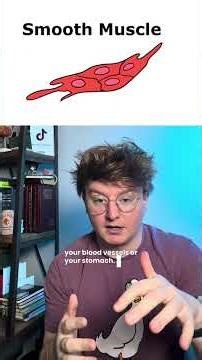 3 types of muscle for anatomy and physiology! A&P! #anatomy #biology #science #muscle #nursing