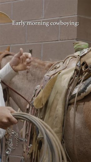 3.5K views · 246 reactions | Our cattle spend their lives on our...