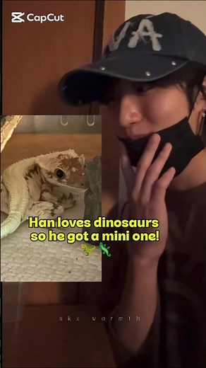 The real reason why Han got a pet lizard! 🦎🦖#han#straykids#shorts