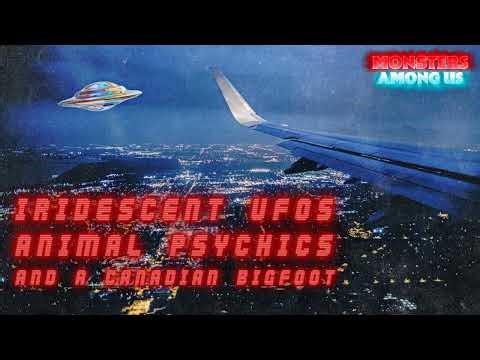 IRIDESCENT UFOs, ANIMAL PSYCHICS & A CANADIAN BIGFOOT (SN 20 EP 55) TRUE PARANORMAL STORIES