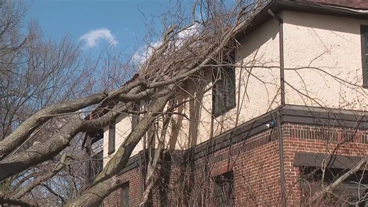 BBB offers advice on how to avoid scams following damaging storms