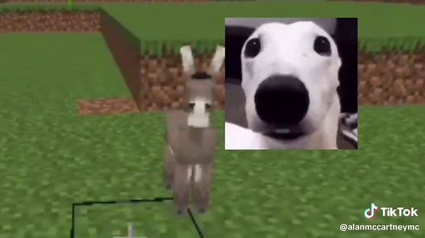 #CapCut #minecraft #minecraftmemes #minecrafttutorial #gamers