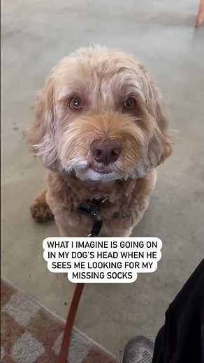 That derp derp face 😜