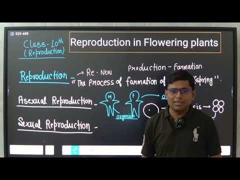 Reproduction/sexual reproduction in plants/Class 10th/Boards