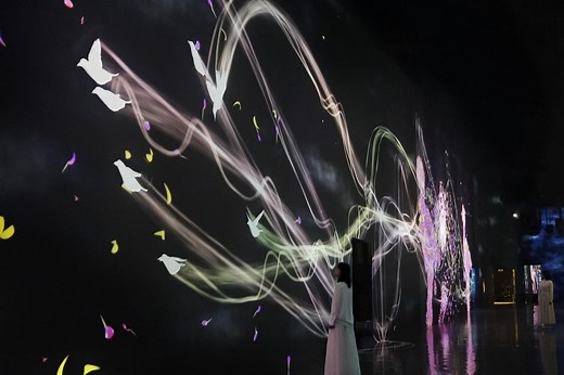 Crows are Chased and the Chasing Crows are Destined to be Chased as well: Flying Beyond Borders | teamLab