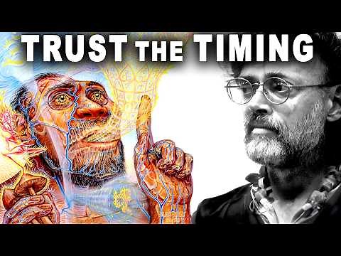 Carl Jung's Synchronicity Explained By Terence McKenna