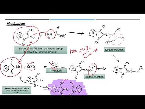 Ninhydrin and Biuret Test
