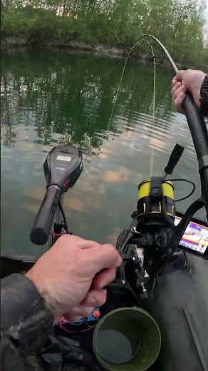 This Fish Almost Broke My Fishing Rod😳🎣 | Fishing for catfish | Vertical Fishing for catfish!